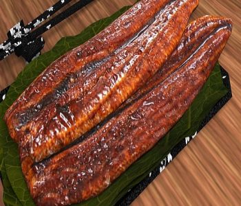 Grilled Eel