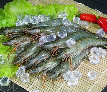 Head on shrimps
