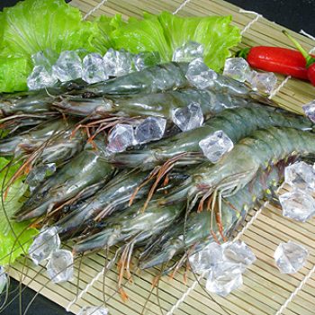 Head on shrimps