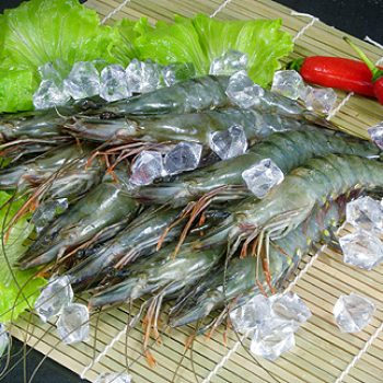 Head On Shrimps-1 Head on shrimps