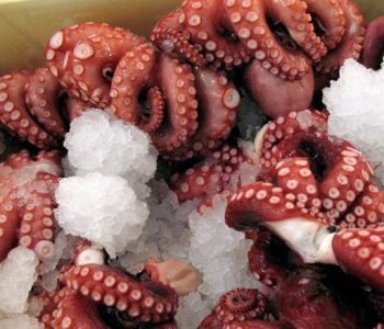 Octopus (Madako)