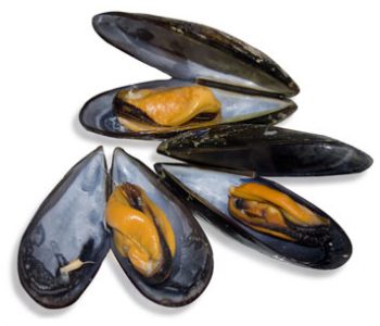 Mussles