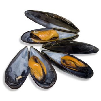 mosselen Mussles